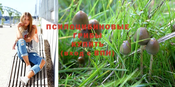 синтетический гашиш Абинск