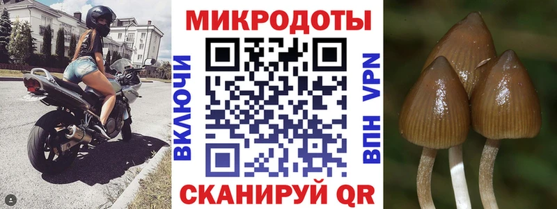 Галлюциногенные грибы Magic Shrooms KRAKEN tor Воронеж купить наркоту